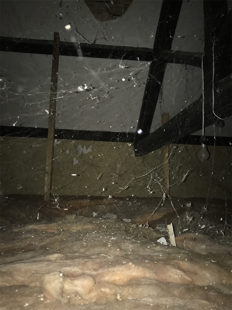 Hall_Above_Cobwebs